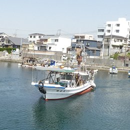 乗合プラン画像